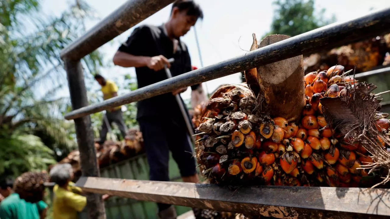 India’s palm oil, sunoil imports rise to record highs; soyoil drops