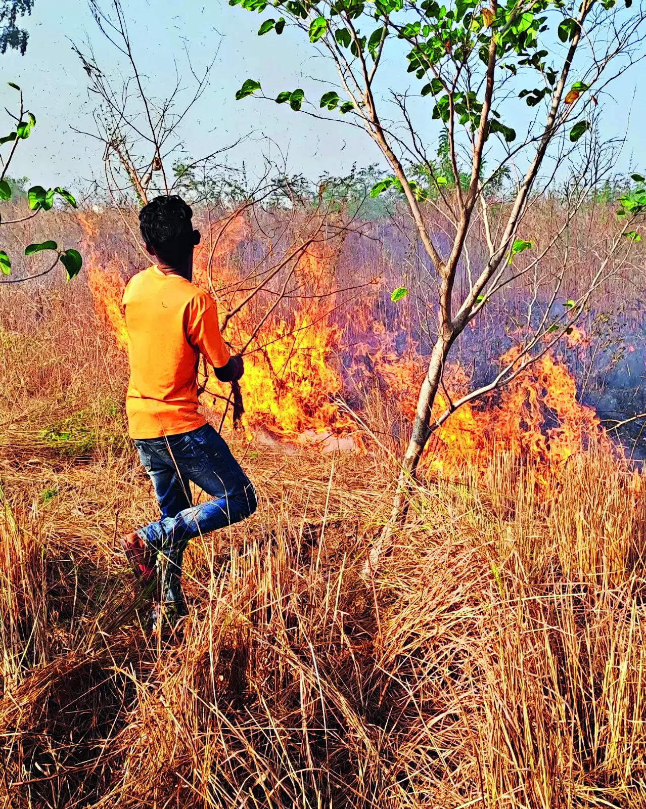 Two Fires In 15 Days In Urban Forest Keep Residents On Toes | Pune News – Times of India