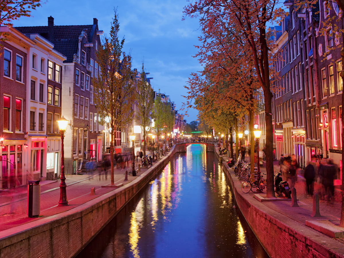 Exploring Amsterdam's vibrant nightlife
