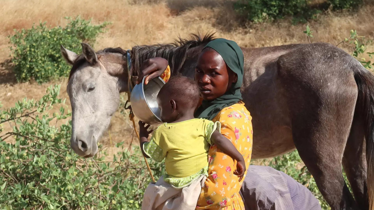 UN warns food aid for 1.4 million refugees in Chad could end over limited funding