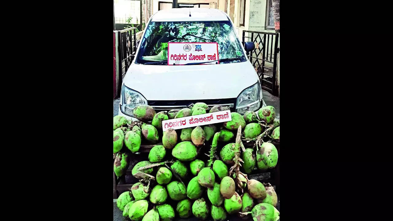 The unsold stolen coconuts 