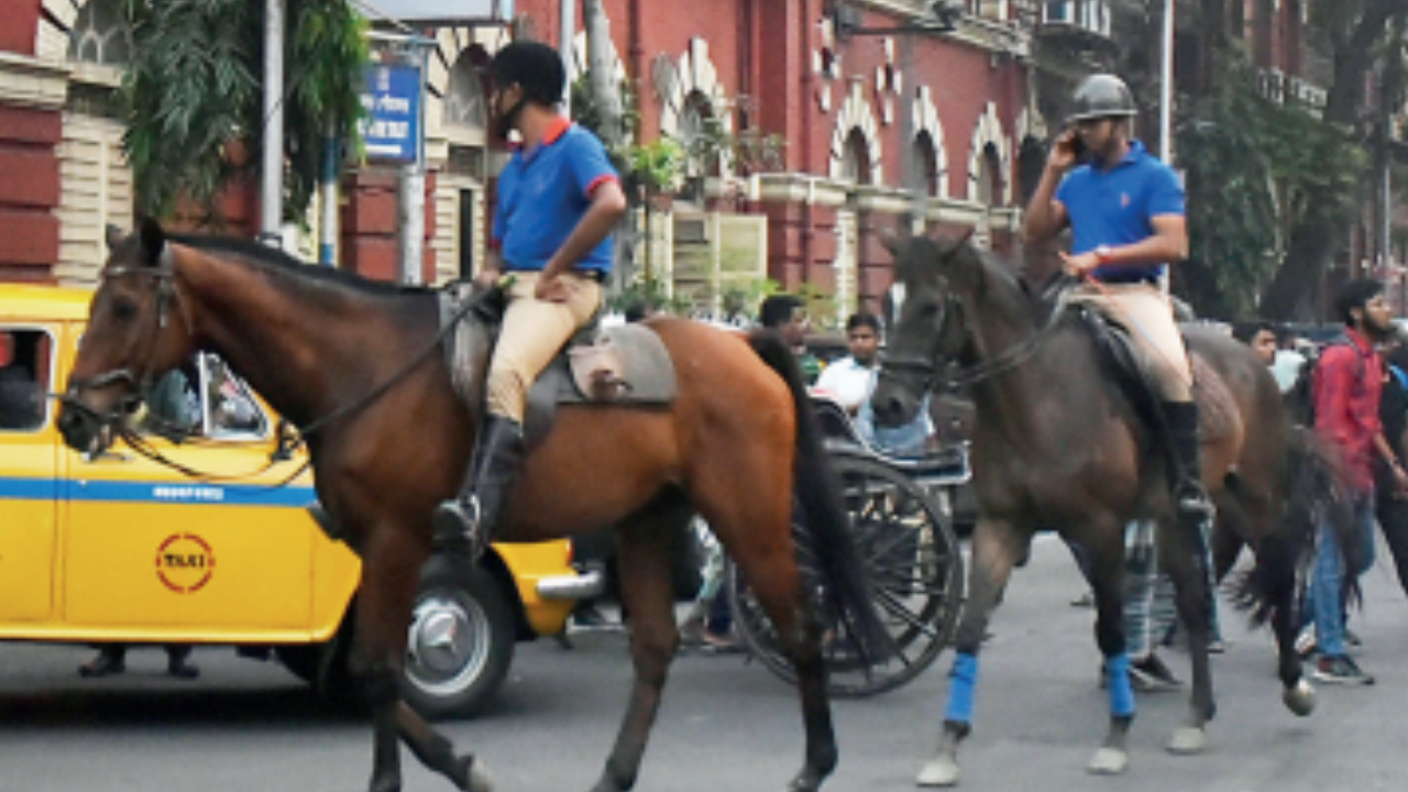 Kolkata Mounted Police Horses Return to Duty After Tragic Loss | Kolkata News – Times of India