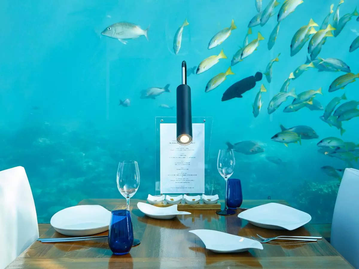 Underwater restaurants in the Maldives for the most surreal experience!