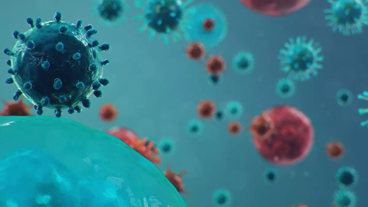 UK confirms first human case of swine flu strain