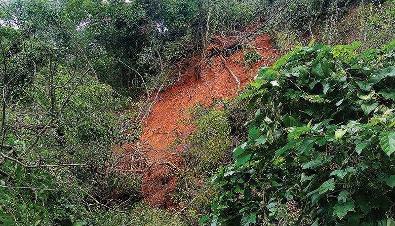 Sattari landslides triggered by human activities too: Report