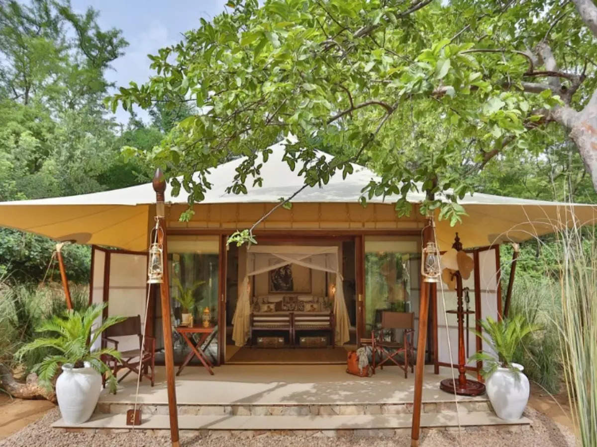 Luxury wildlife stays that you must try out this season