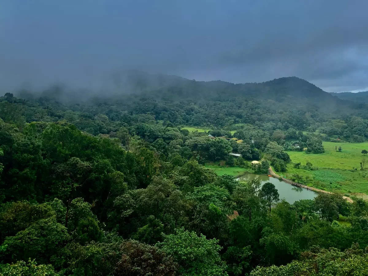 Best hotels in Coorg for your next trip with family