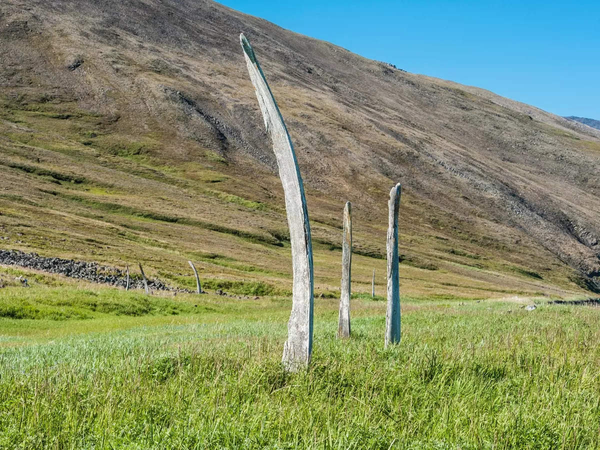 Surrounded by whale bones at this unique ecotourist destination in Russia