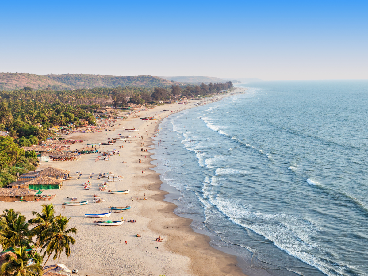 Goa: ‘Safe swim’ and ‘no selfie’ zones set up at beaches for safety of visitors