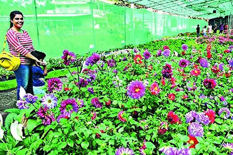 Ananthapuri flower show draws huge crowd