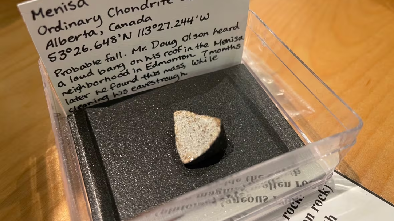 Edmonton resident discovers rare meteorite in rain gutter