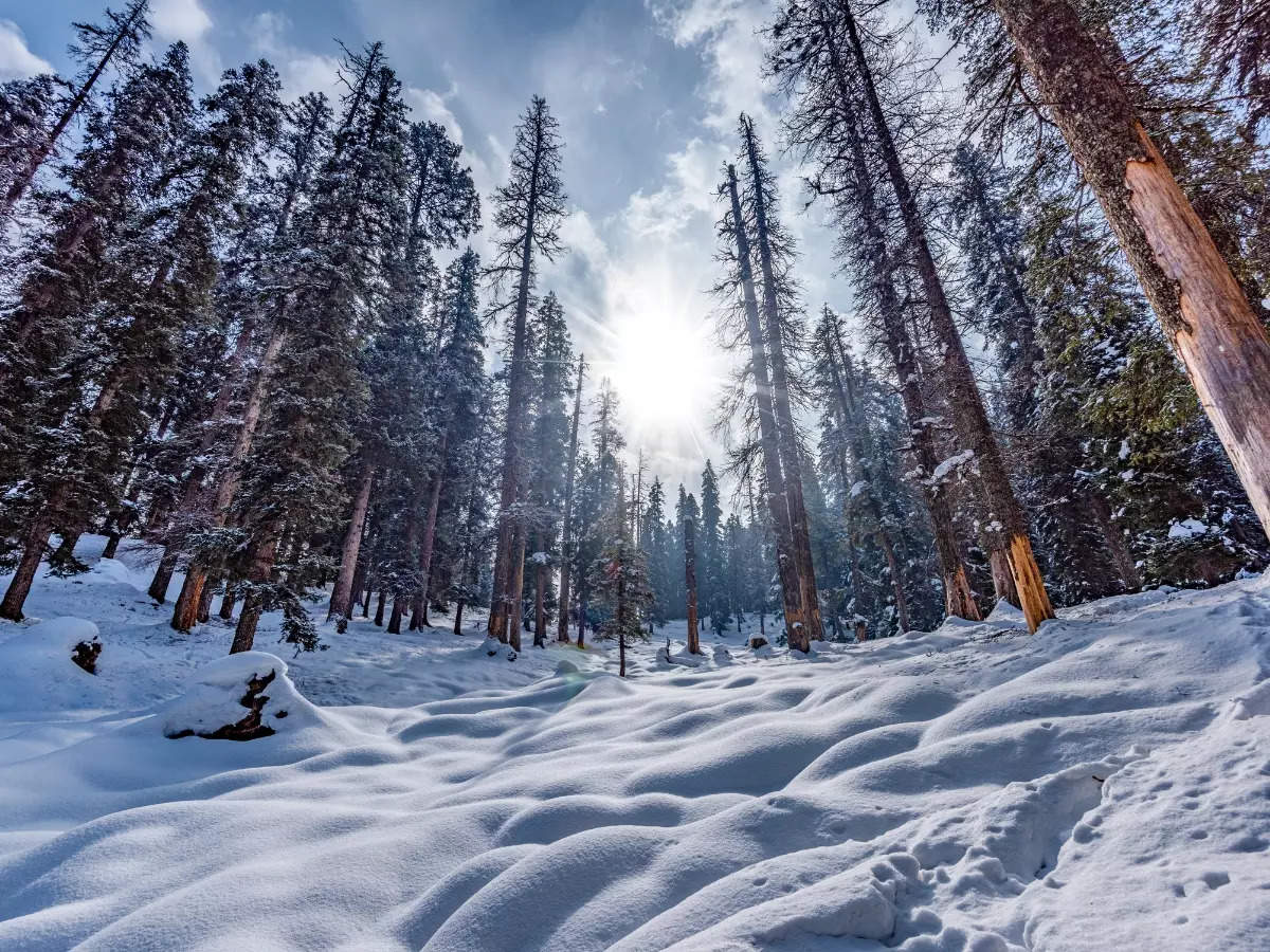 Gorgeous places to watch snowfall in India
