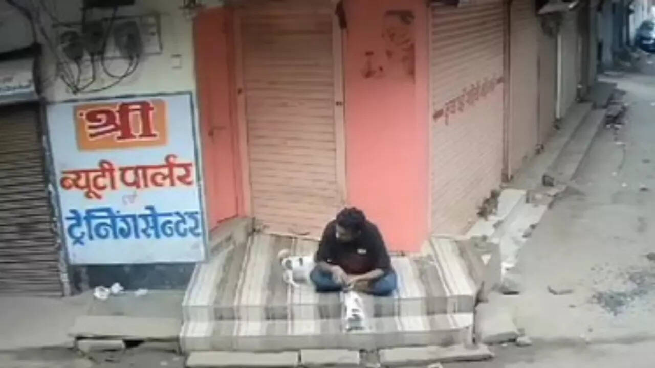 Man crushes puppy to death in MP; CM Shivraj, Scindia react
