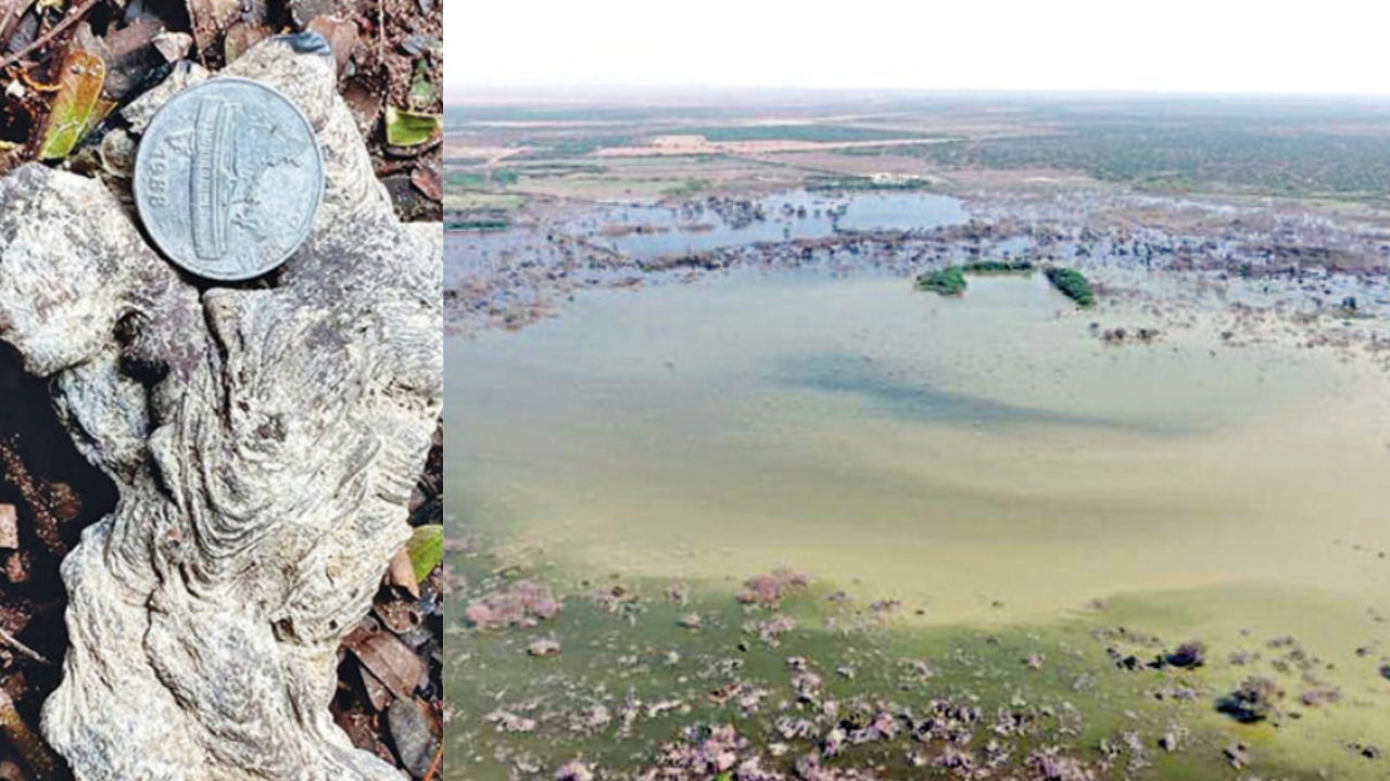 Discovery of crater in Gujarat: Was Indus Valley civilisation impacted by a meteorite?