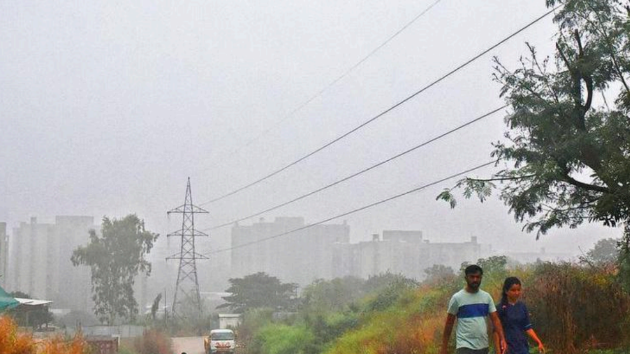 City sees cooler weather, minimum temp falls to 14C | Pune News – Times of India