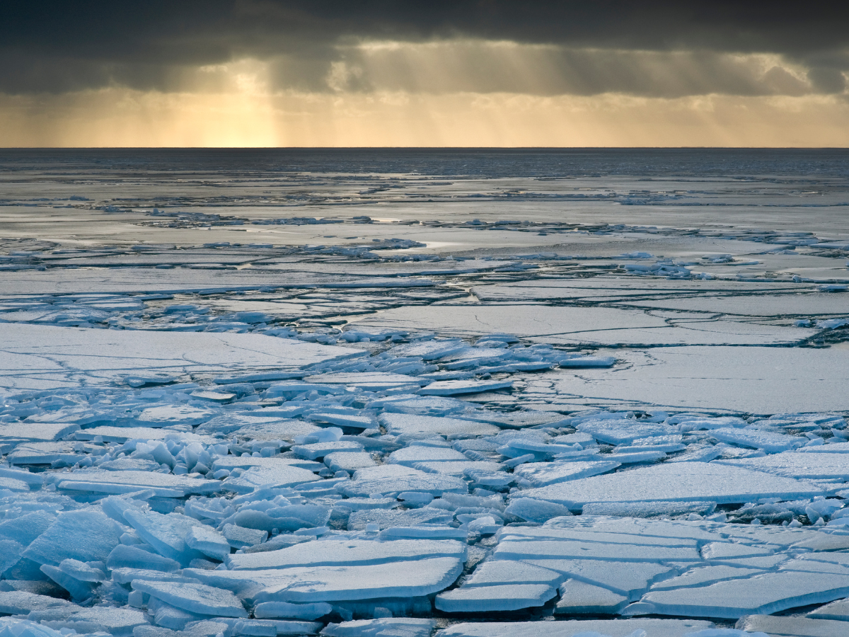 North America’s first people may have arrived via ‘sea ice highway’ 24,000 years ago, suggests study