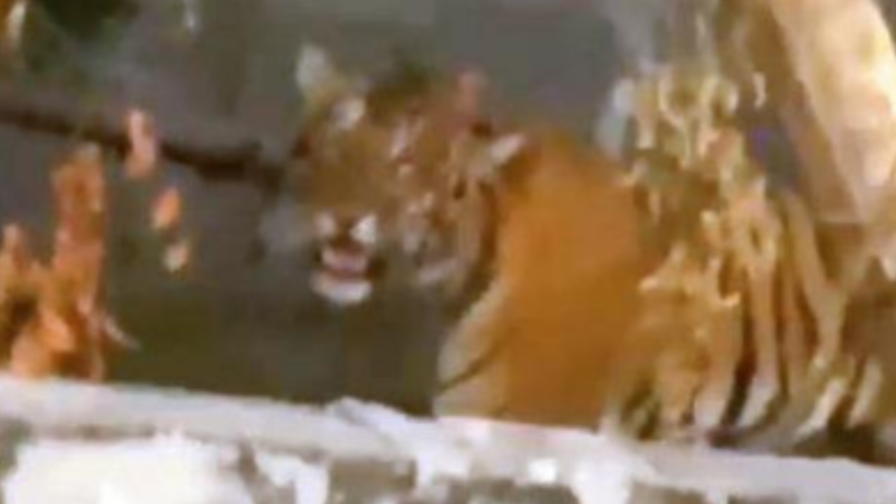 Green Park Colony, Bareilly Map, Property Rates, Projects, Photos