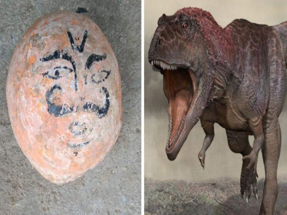 MP: ‘Stone balls’ worshipped by locals turn out to be 70-million-year-old dinosaur eggs!