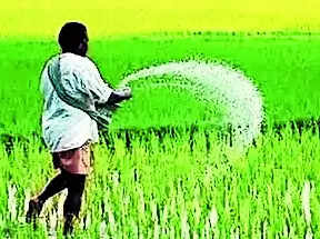 UP Govt: Hoarding of Fertilizers Will Invite Strict Action | Lucknow News – Times of India