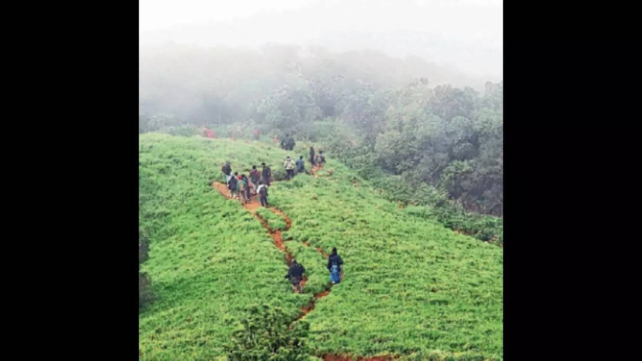 Mysore Map, Property Rates, Projects, Photos, Reviews, Info