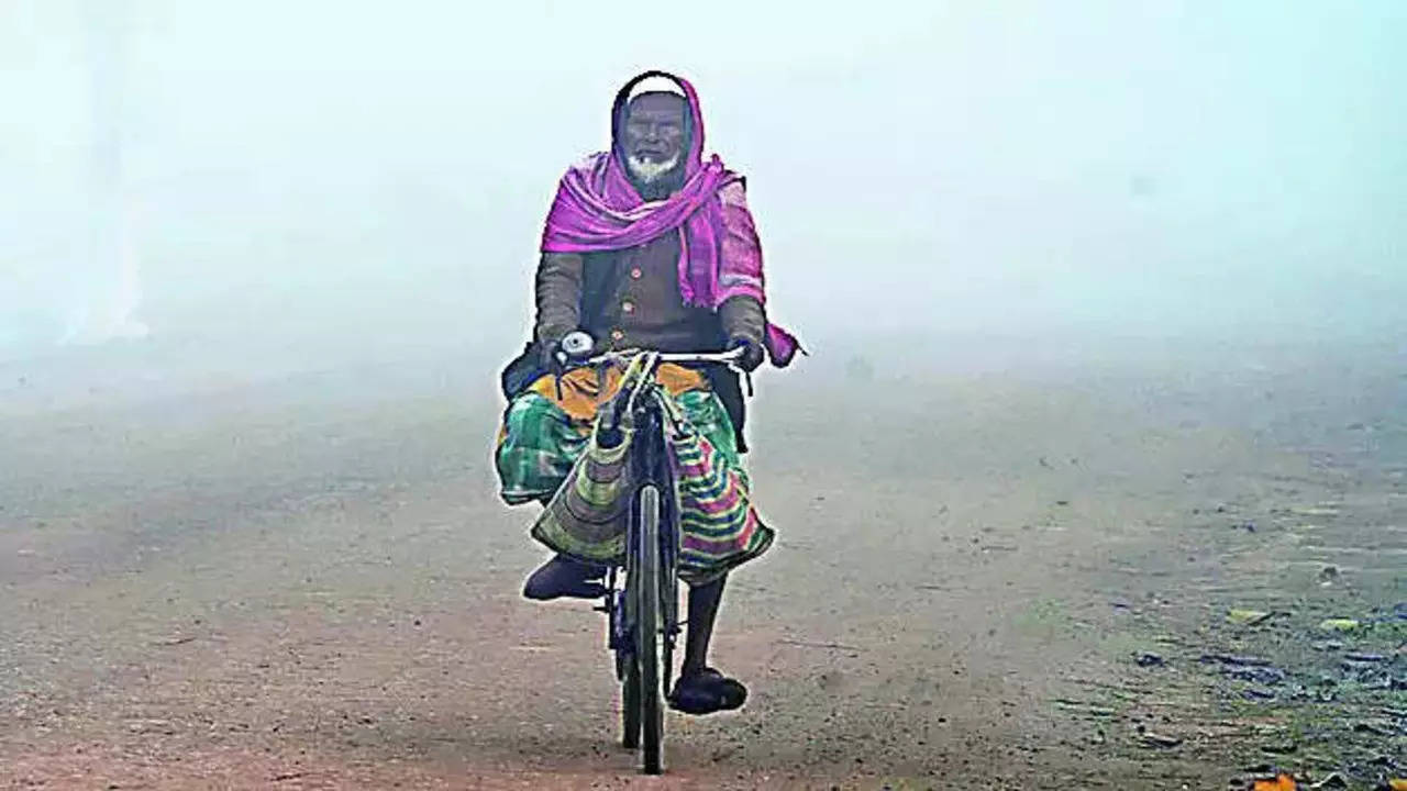 Dense fog engulfs NE, Barapani worst hit | Guwahati News – Times of India