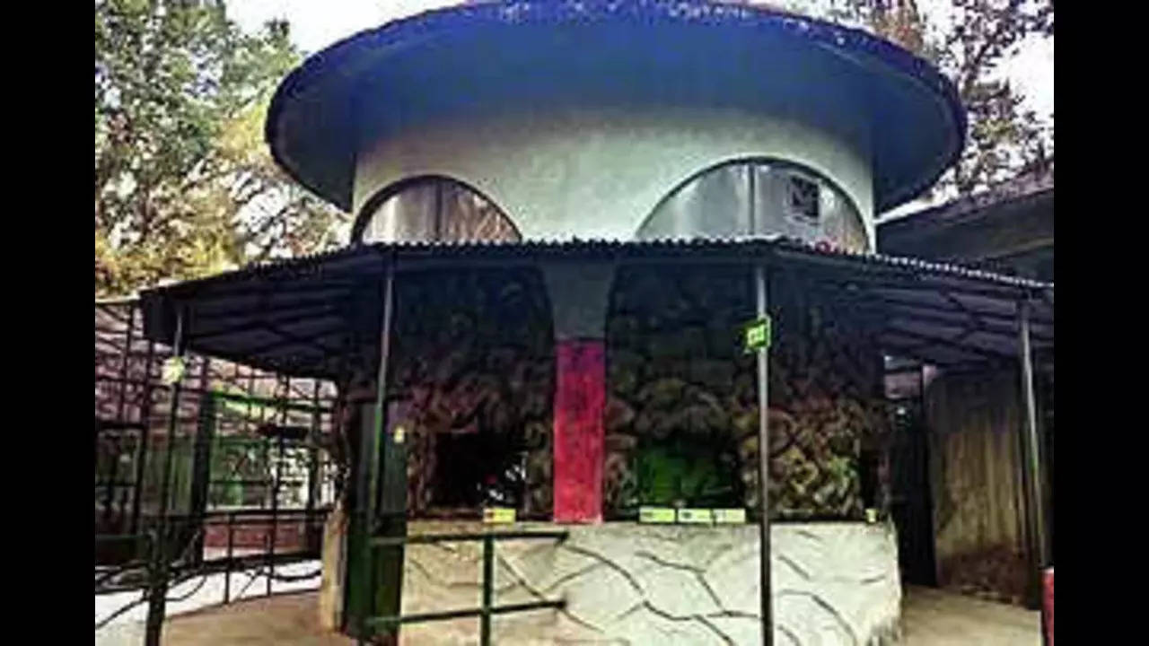 Darjeeling zoo to get India’s 1st high-altitude aquarium | Kolkata News – Times of India
