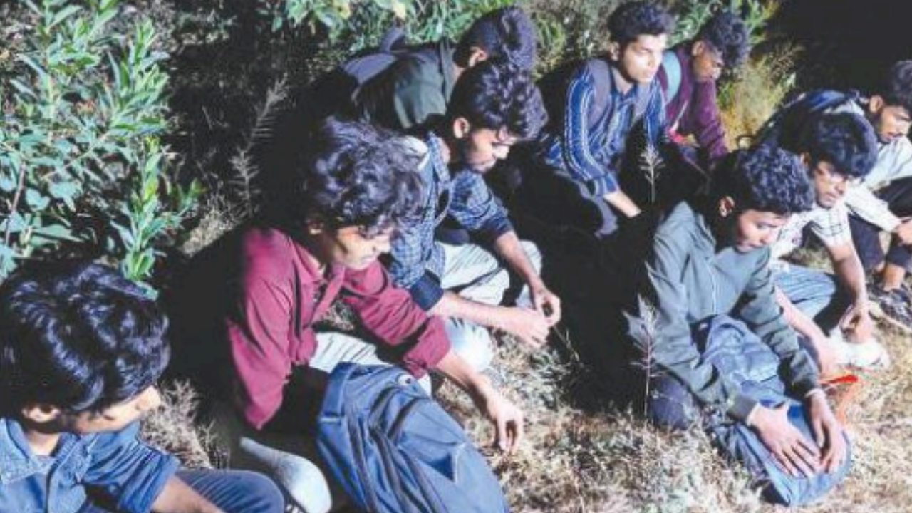 9 students on trek go missing inside Mhadei forest, traced | Goa News – Times of India