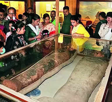 Museum Latest To Join Open-all-wk Bandwagon This Festive Season | Kolkata News – Times of India