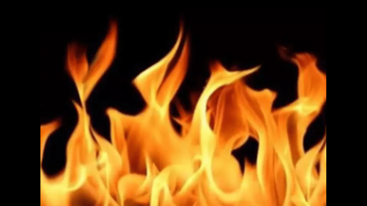 Woman, 43, burnt alive during fight with spouse | Bengaluru News – Times of India