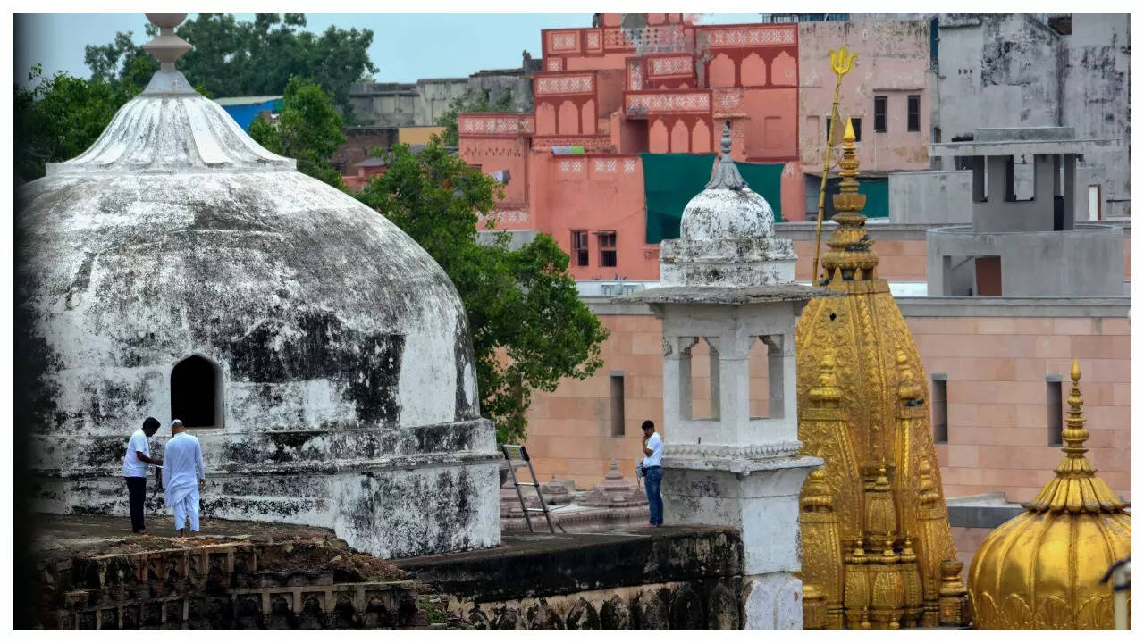 Submit Gyanvapi report by January 19: Fast-track court to ASI