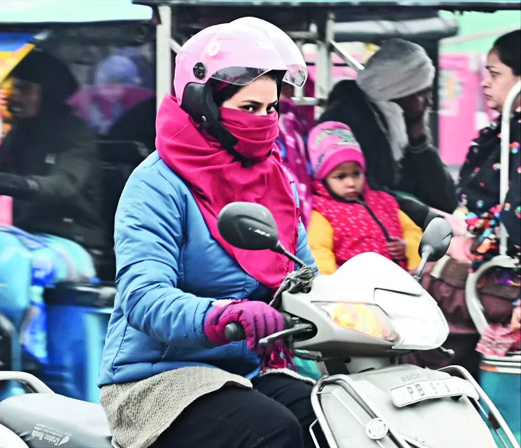 Cold wave: Another tough day for city Ludhiana | Ludhiana News – Times of India