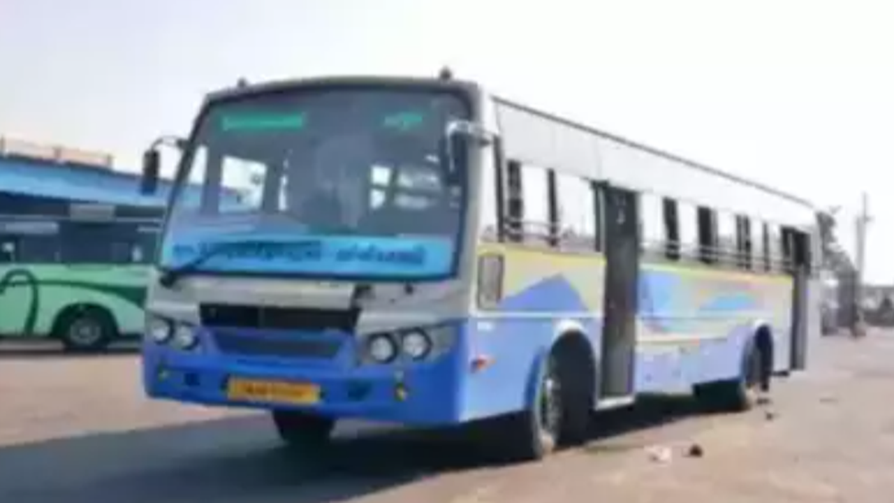 Pongal rush: TNSTC to operate 3,310 special bus services between Chennai and central region | Chennai News – Times of India