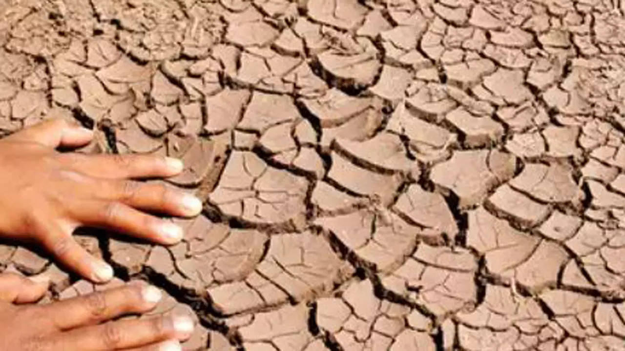 Karnataka govt releases Rs 105 crore to help drought-hit farmers | Bengaluru News – Times of India