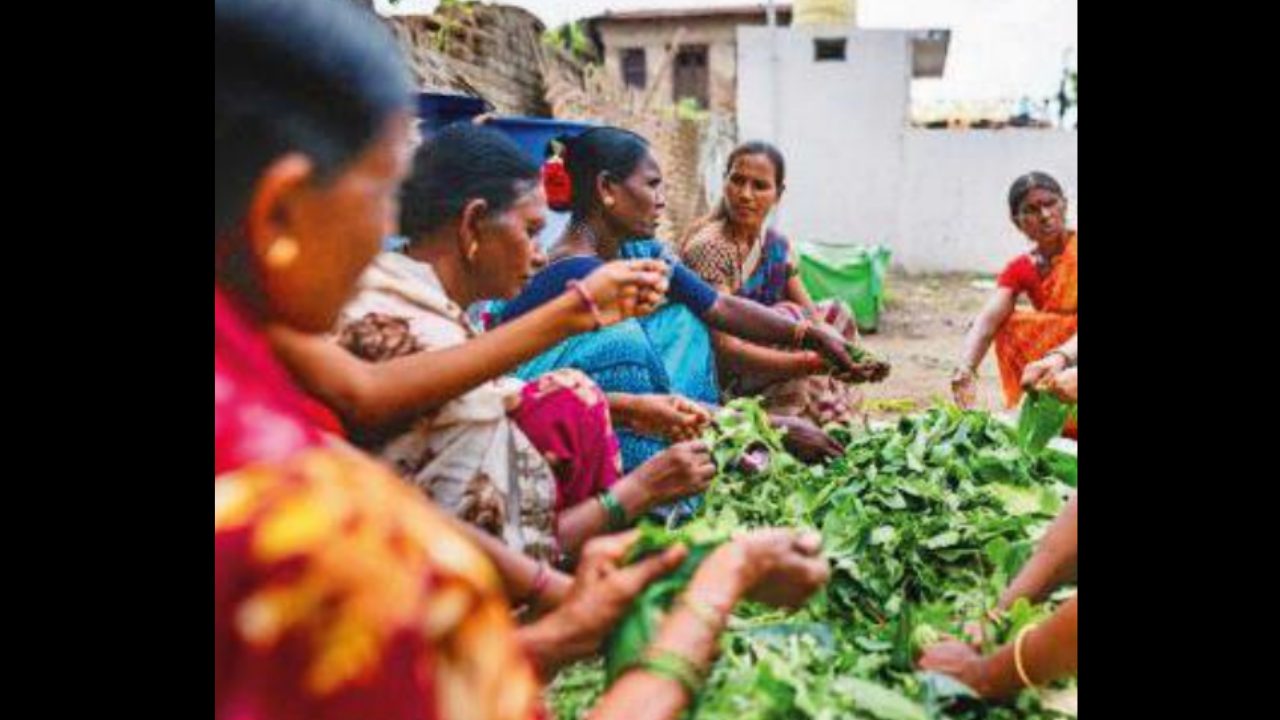 Women Opting For Organic Farming In Pune: Study | Pune News – Times of India