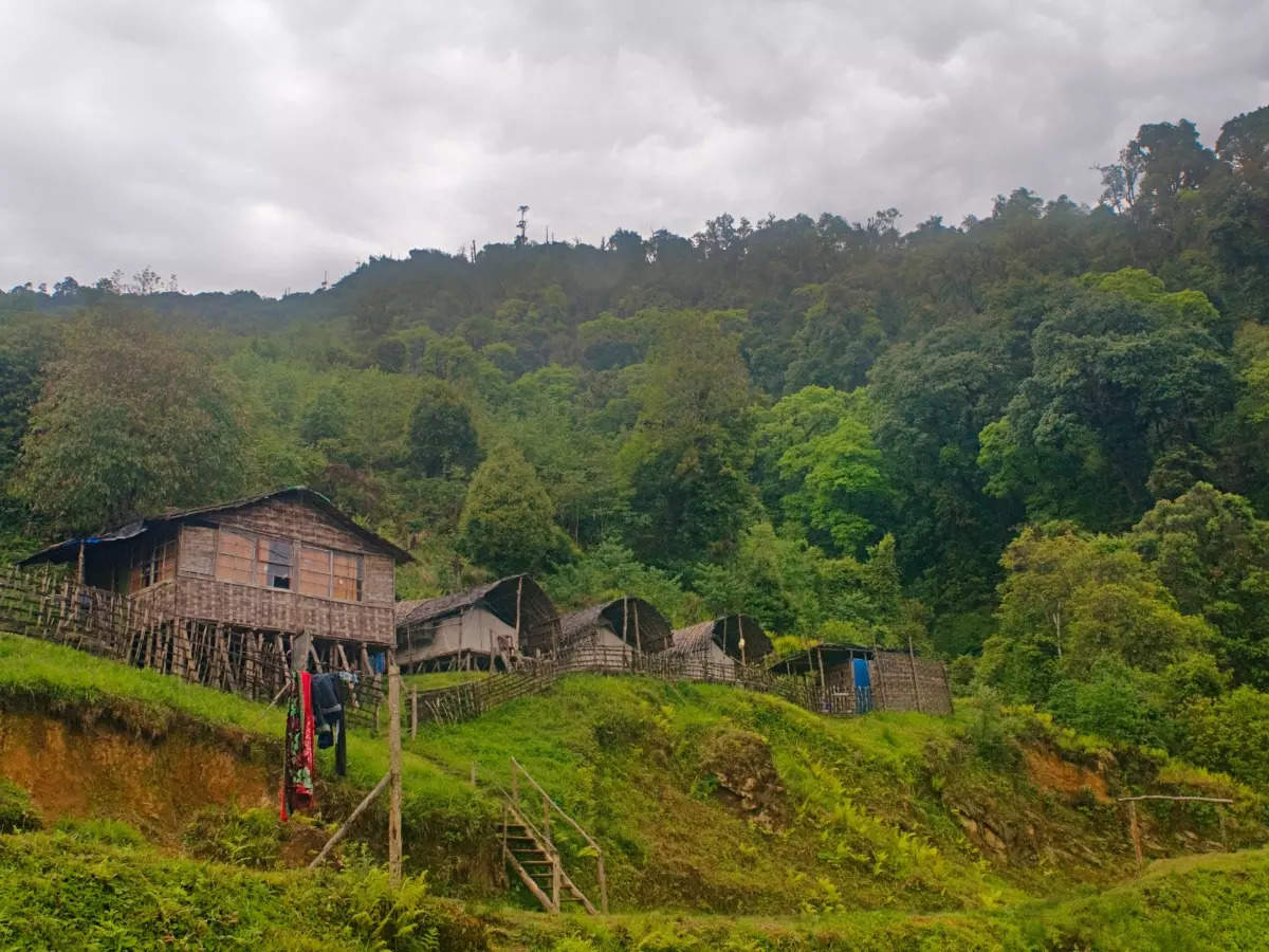 Arunachal Pradesh: Eaglenest Wildlife Sanctuary’s unmatched wildlife experiences