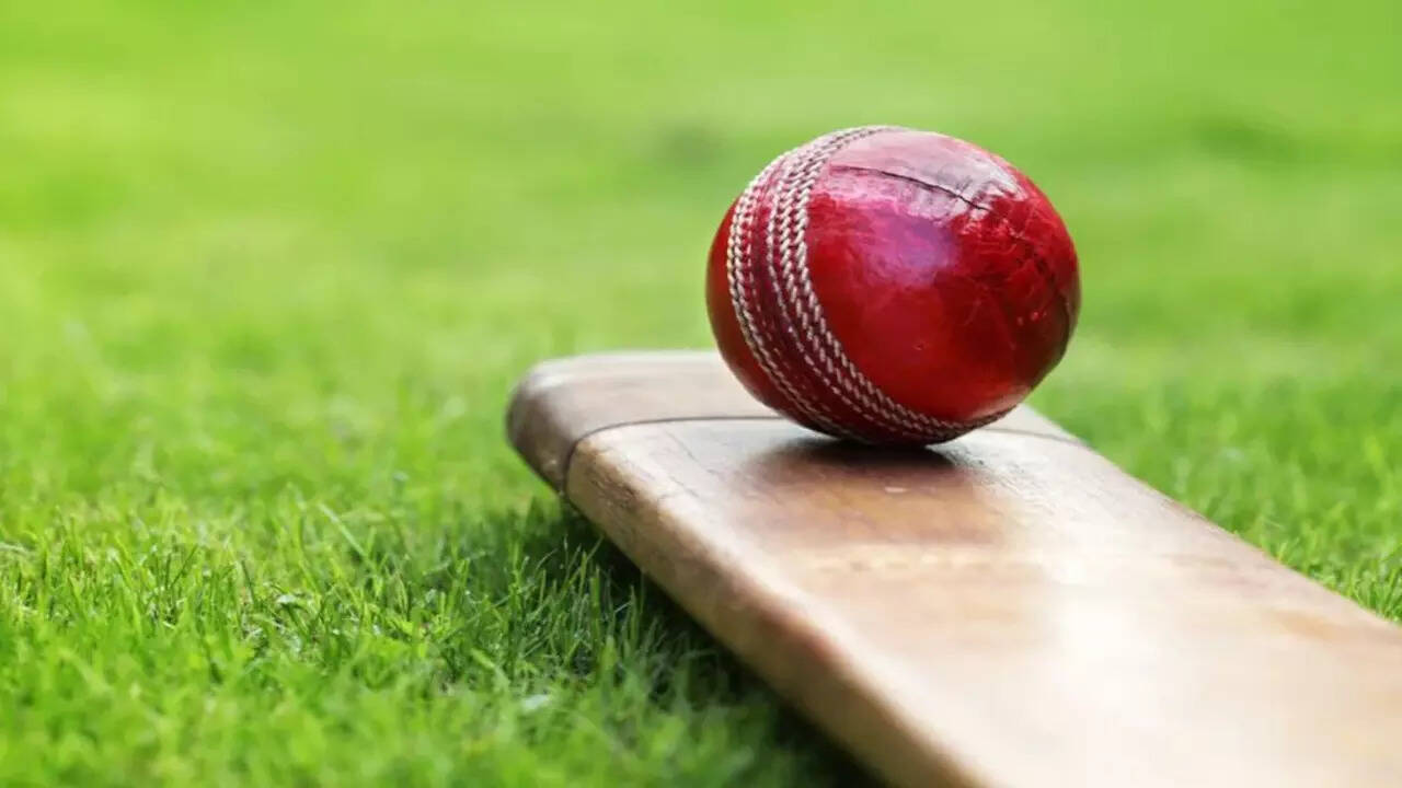Mumbai cricketer dies after ball from another match hits him