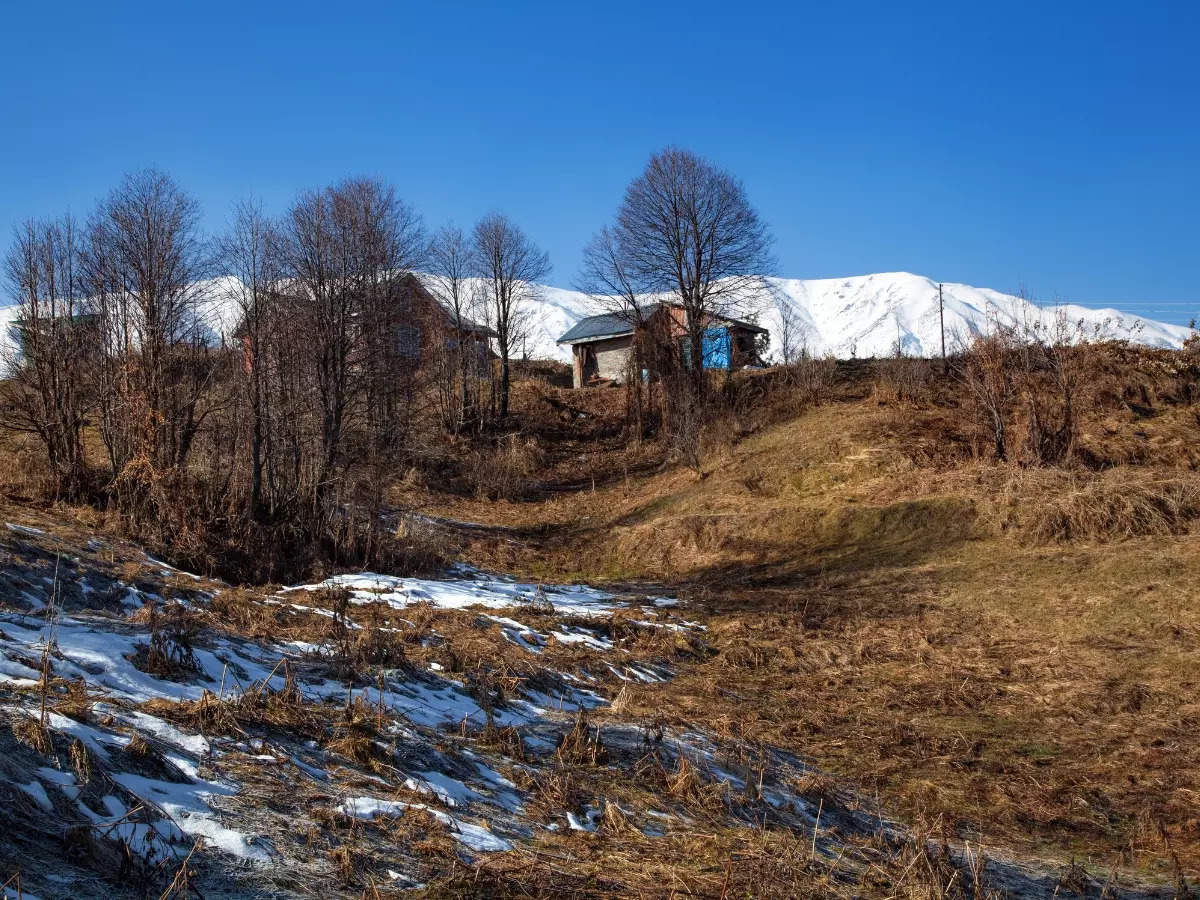 No snow in Gulmarg leaves tourists and locals perplexed