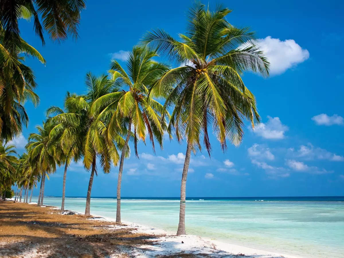 Tata Group to introduce two resorts in Lakshadweep by 2026