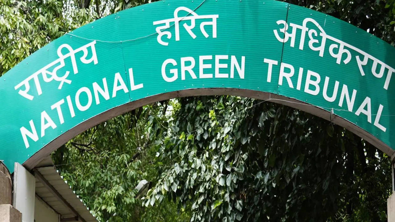 NGT Notice to MoD – Tree Felling Violation | Delhi News – Times of India