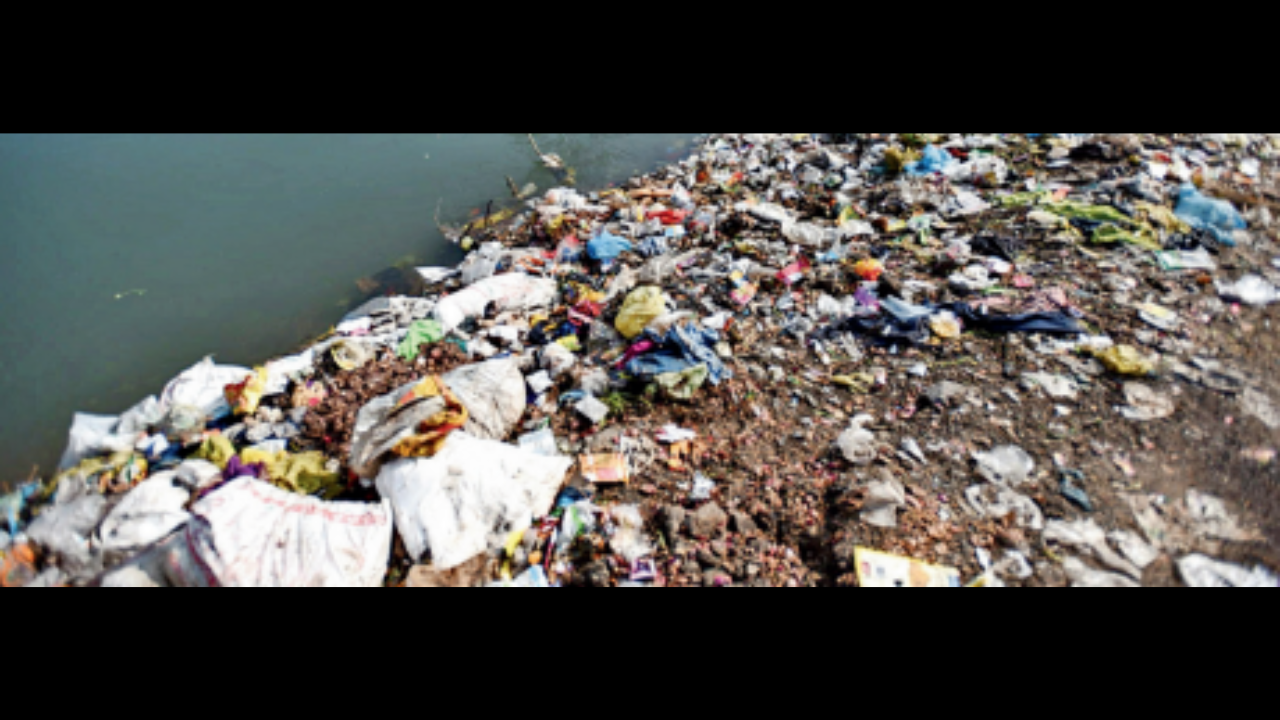 Dumping of garbage more in merged areas, along highways, at entry points of the city
