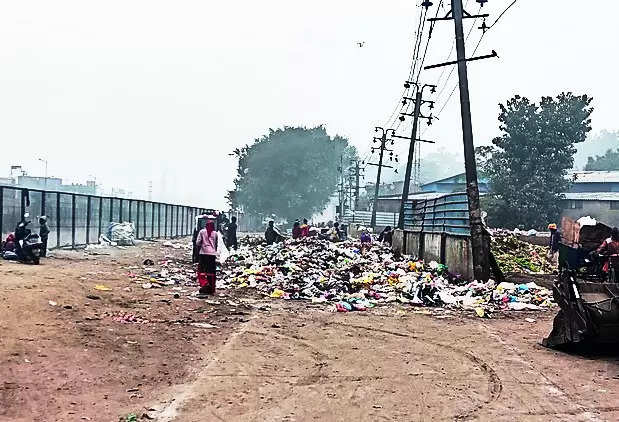 Mc To Pay 25k For Not Cleaning Area Around Canal | Ludhiana News – Times of India