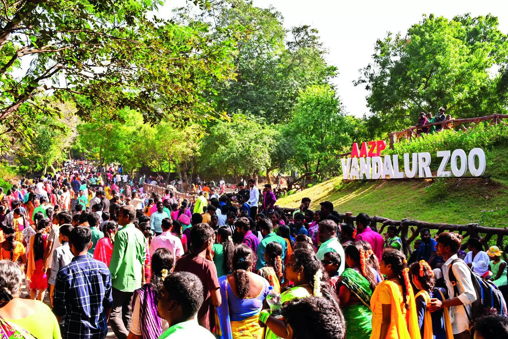 Crowds throng zoo; more visitors expected for next two days | Chennai News | Chennai News – Times of India