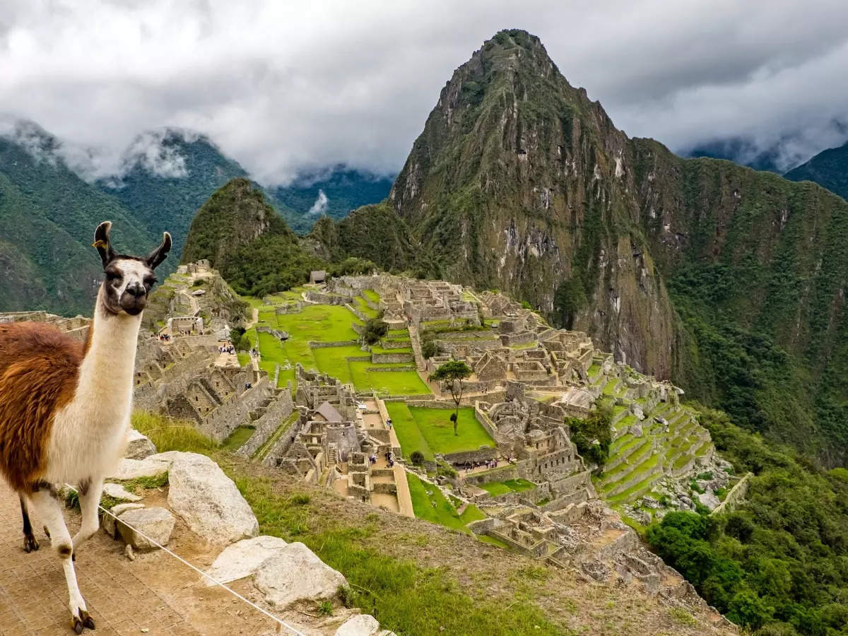 The Inca Trail to Machu Picchu: A journey of a lifetime in Peru