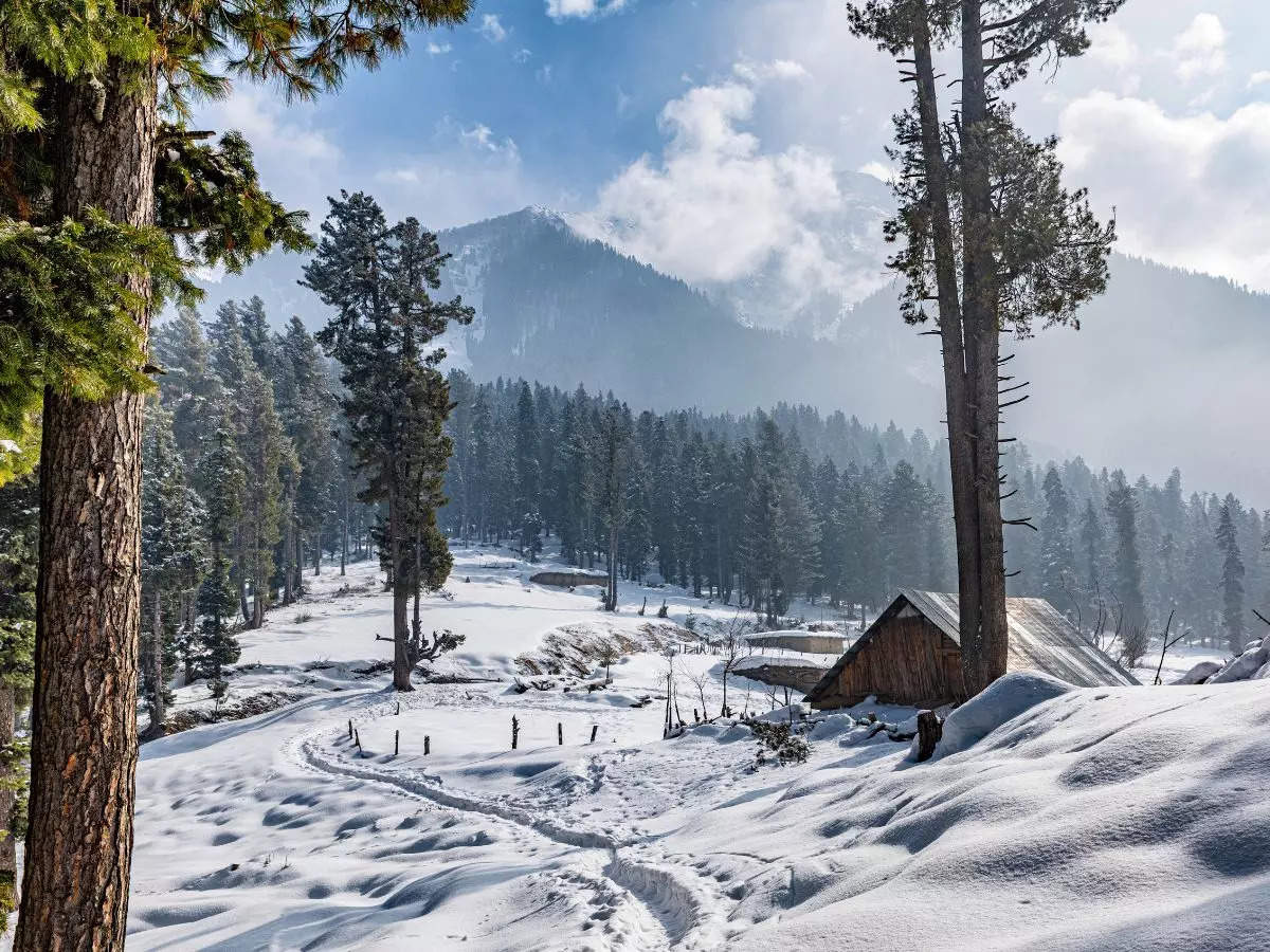 Tourists head to lesser-known Sinthan Top to enjoy snow in Kashmir