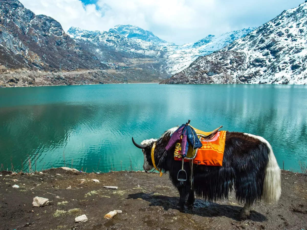 Explore the winter charms of this Himalayan heaven
