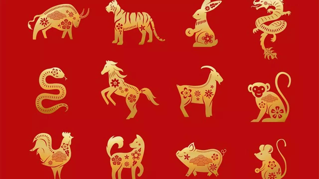 Dragon, Tiger, Monkey; Most powerful Chinese Zodiac Signs – Times of India