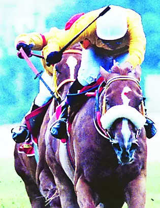 Pink Jasmine Wins Main Event at Bengaluru Winter Races | – Times of India