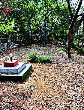 Hyderguda Park Neglected: Residents Demand GHMC Action | Hyderabad News – Times of India