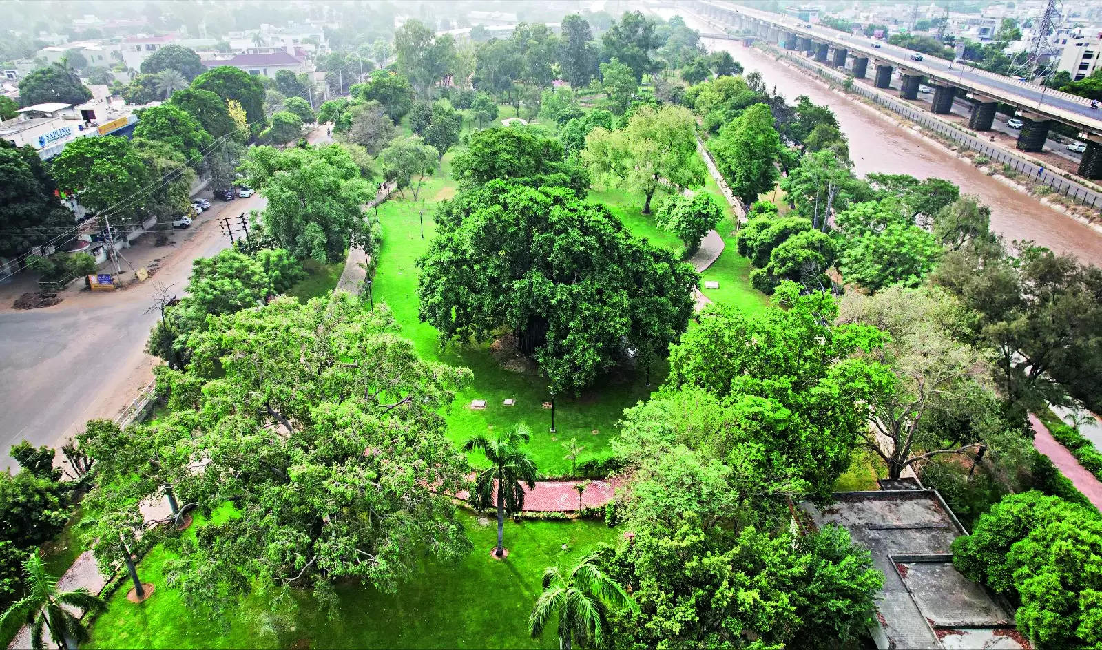 MC bags best retrofit green space award for Leisure Valley – Ludhiana Smart City Limited | – Times of India