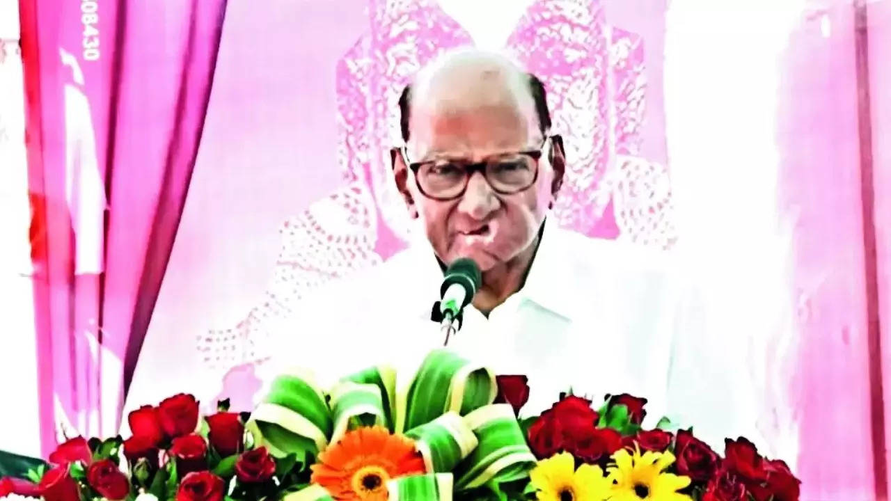 Sharad Pawar at Singola in Solapur district on Friday